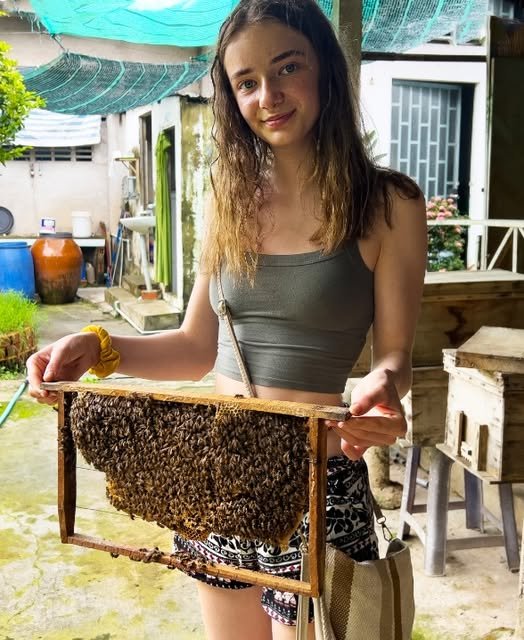Our Late Father Left Me Only an Apiary While My Sister Took the House and Shut Me Out—But One Beehive Held a Game-Changing Secret — Story of the Day