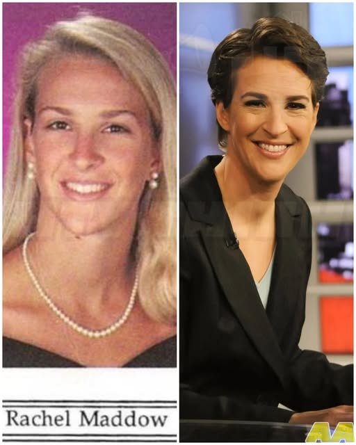 The life of Rachel Maddow